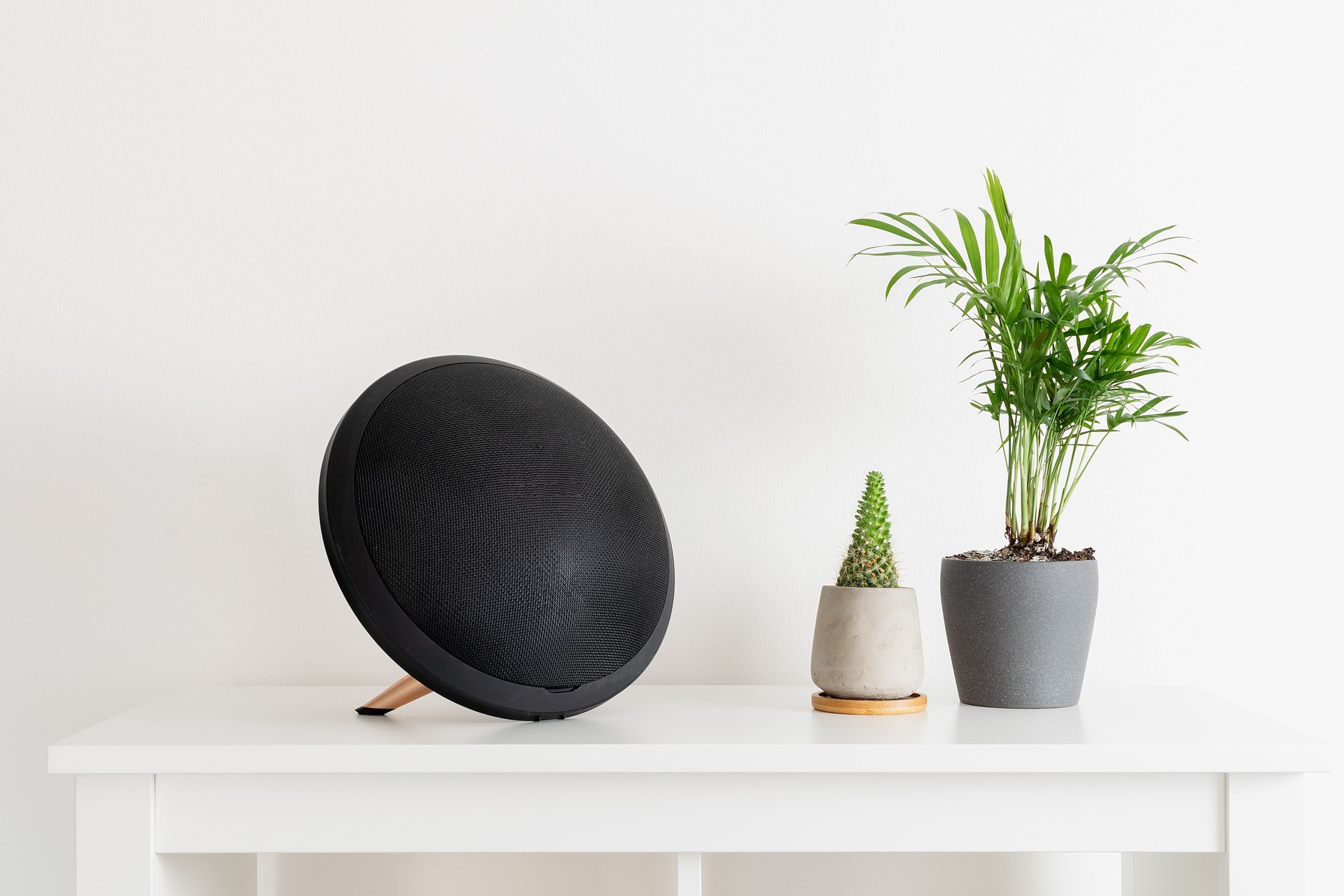 Scandinavian nordic hygge style, home interior - portable speaker, cactus, evergreen plant, white shelf